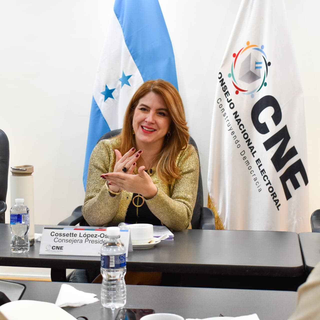 Sociedad civil hondureña insta a la OEA a observar activamente y respaldar autonomía del CNE